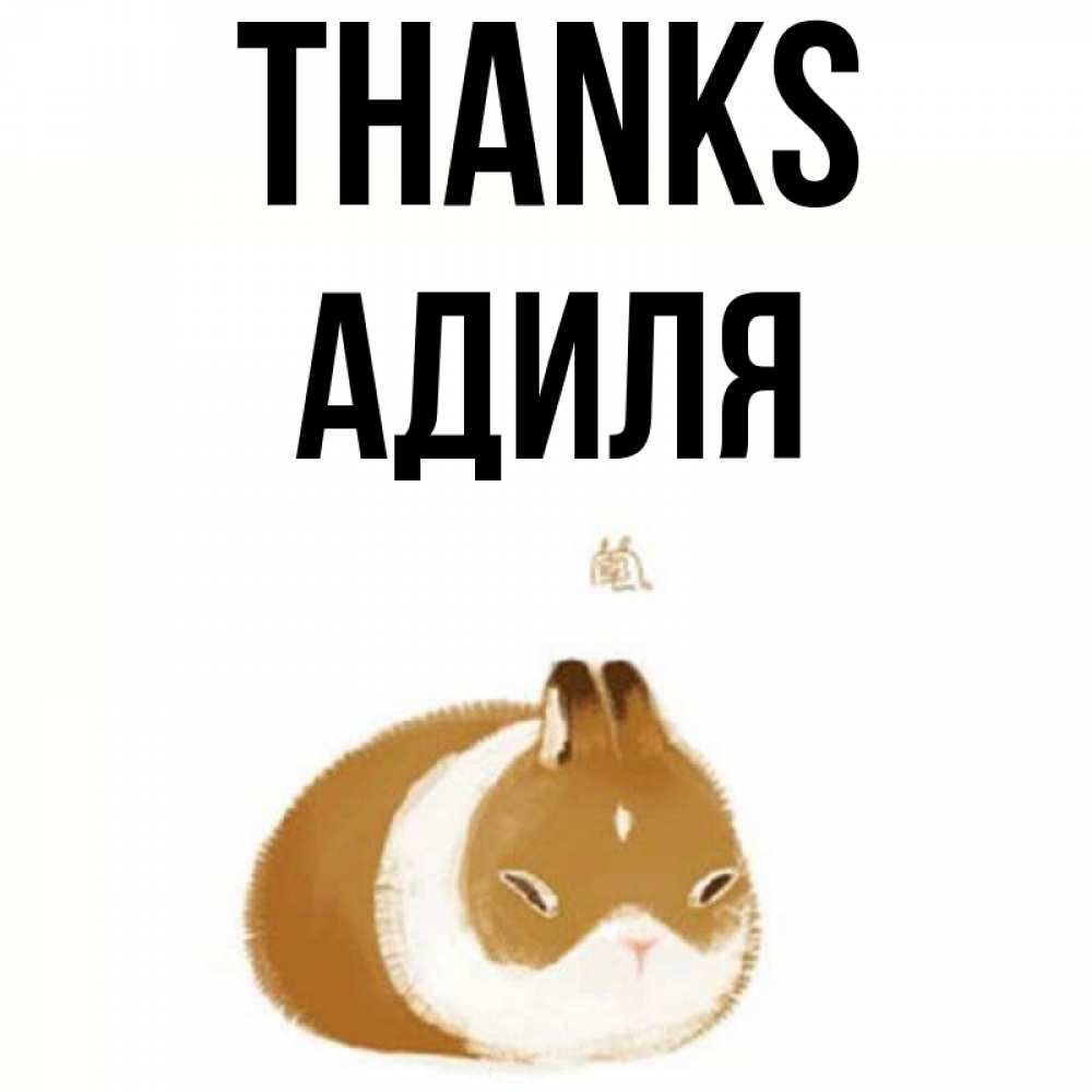 Greetings card с именем, Адиля Thanks коричнево белый домашний питомец Greetings with text for free download 