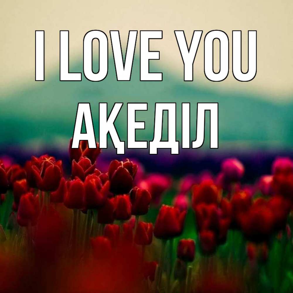 Greetings card с именем, Ақеділ I love you тюльпаны 4 Greetings with text for free download 