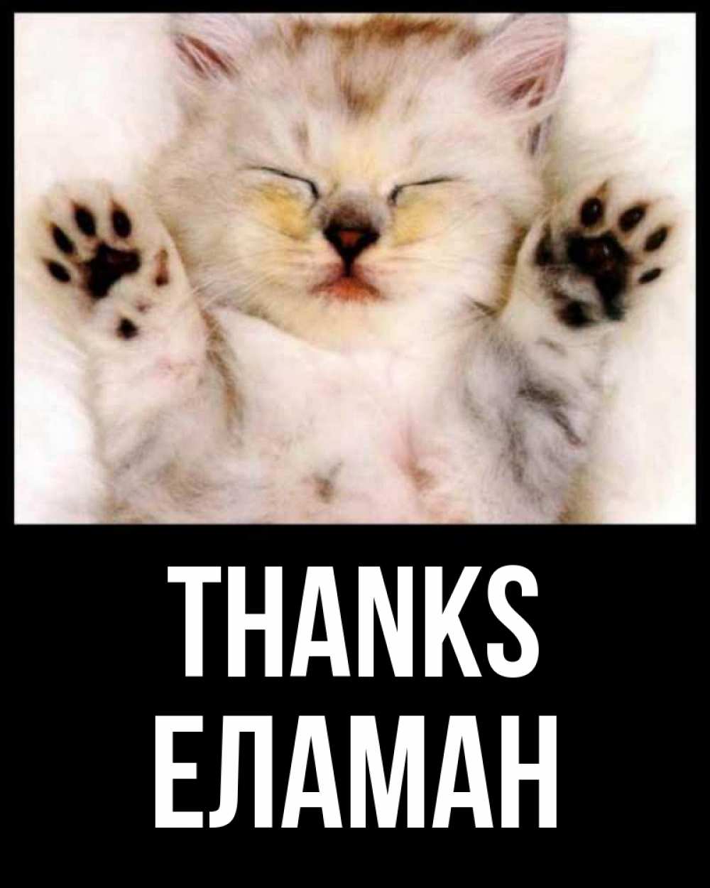 Greetings card с именем, Еламан Thanks маленький котенок Greetings with text for free download 
