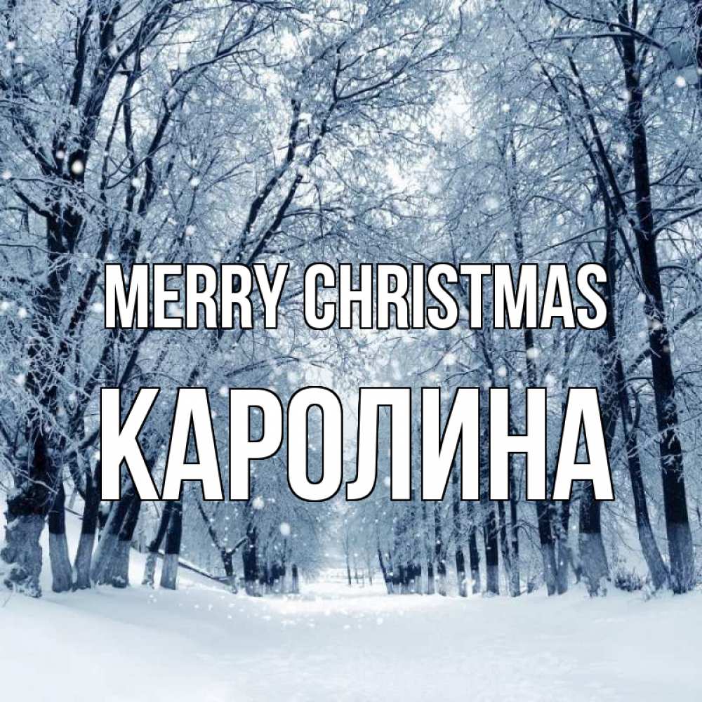 Greetings card с именем, Каролина Merry Christmas снег, лес, парк Greetings with text for free download 
