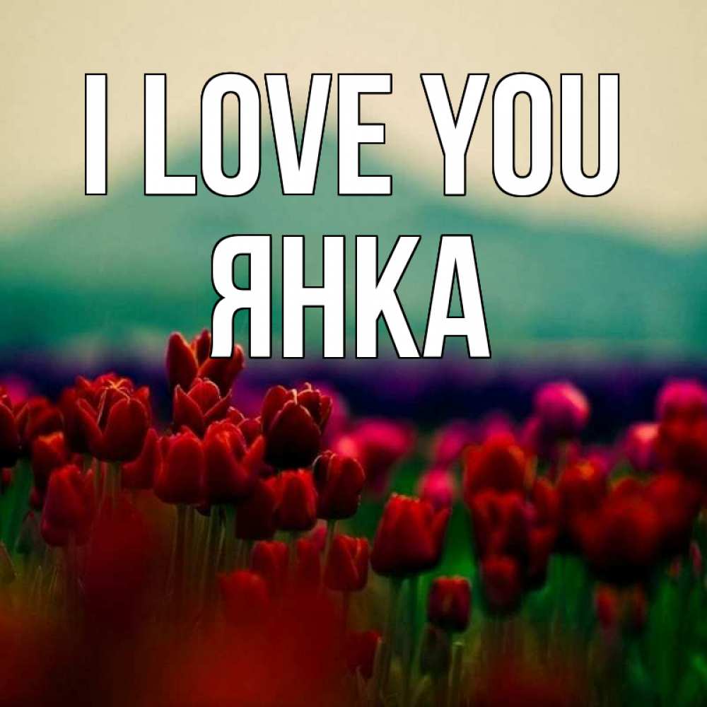 Greetings card с именем, Янка I love you тюльпаны 4 Greetings with text for free download 