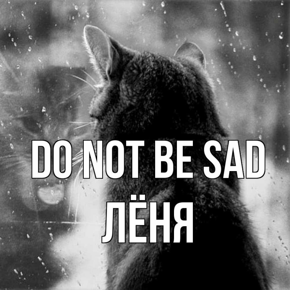 Greetings card с именем, Лёня Do not be sad отражение кота 1 Greetings with text for free download 