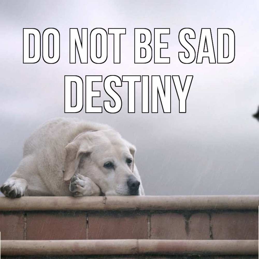 Greetings card с именем, Destiny Do not be sad белый пес 1 Greetings with text for free download 