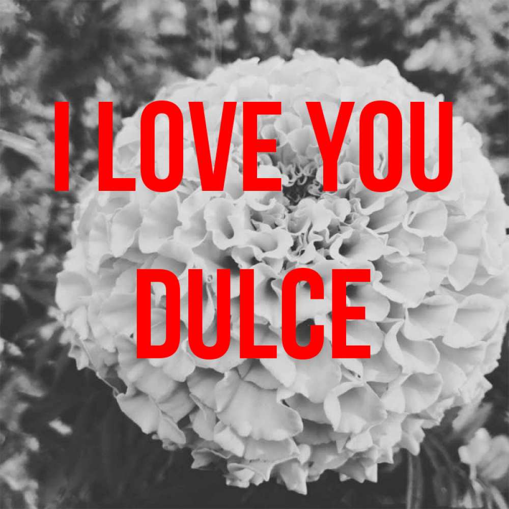 Greetings card с именем, Dulce I love you подпись Greetings with text for free download 
