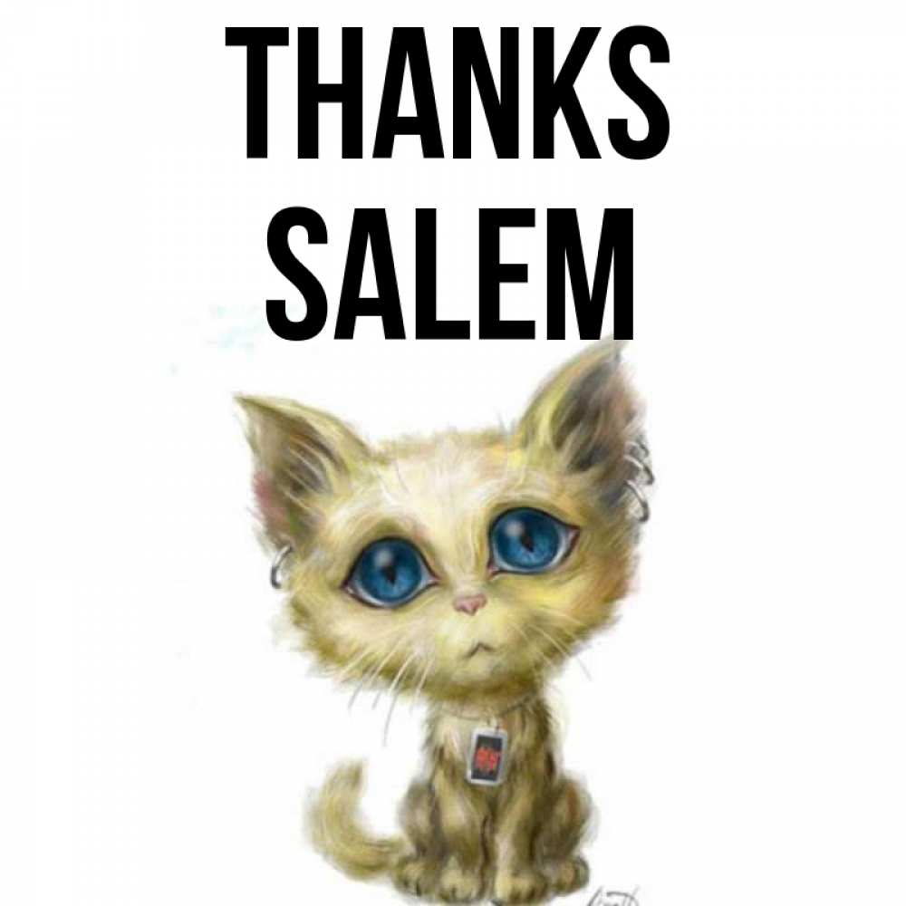 Greetings card с именем, Salem Thanks рисованный кот благодарит вас Greetings with text for free download 