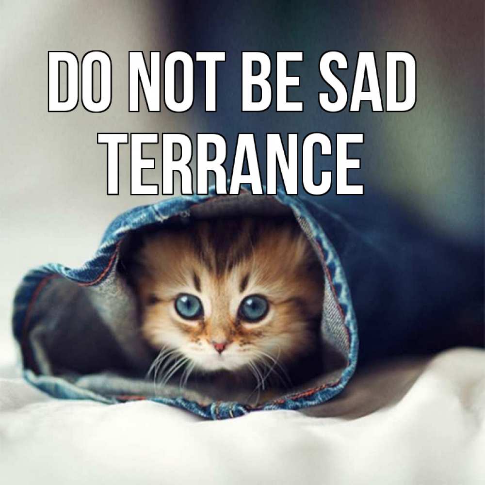 Greetings card с именем, Terrance Do not be sad рыжик котик Greetings with text for free download 