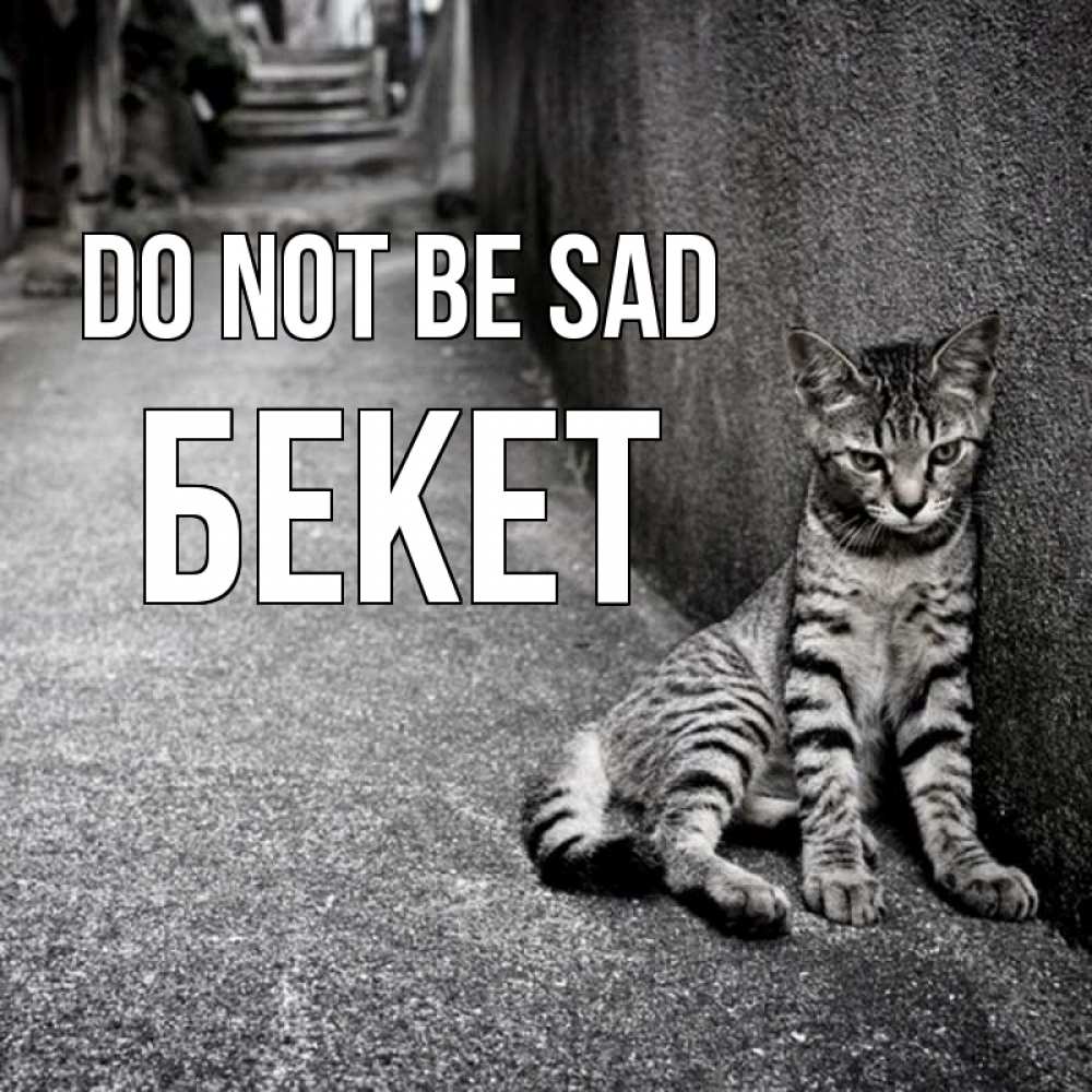 Greetings card с именем, Бекет Do not be sad скучающий котик Greetings with text for free download 
