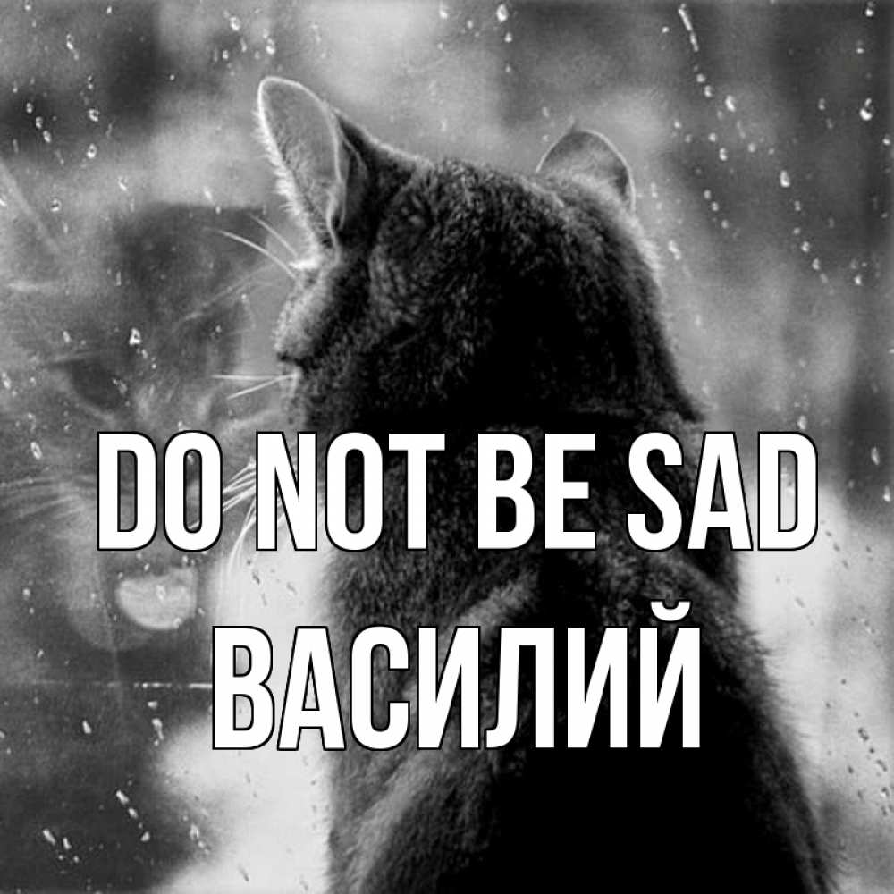 Greetings card с именем, Василий Do not be sad отражение кота 1 Greetings with text for free download 