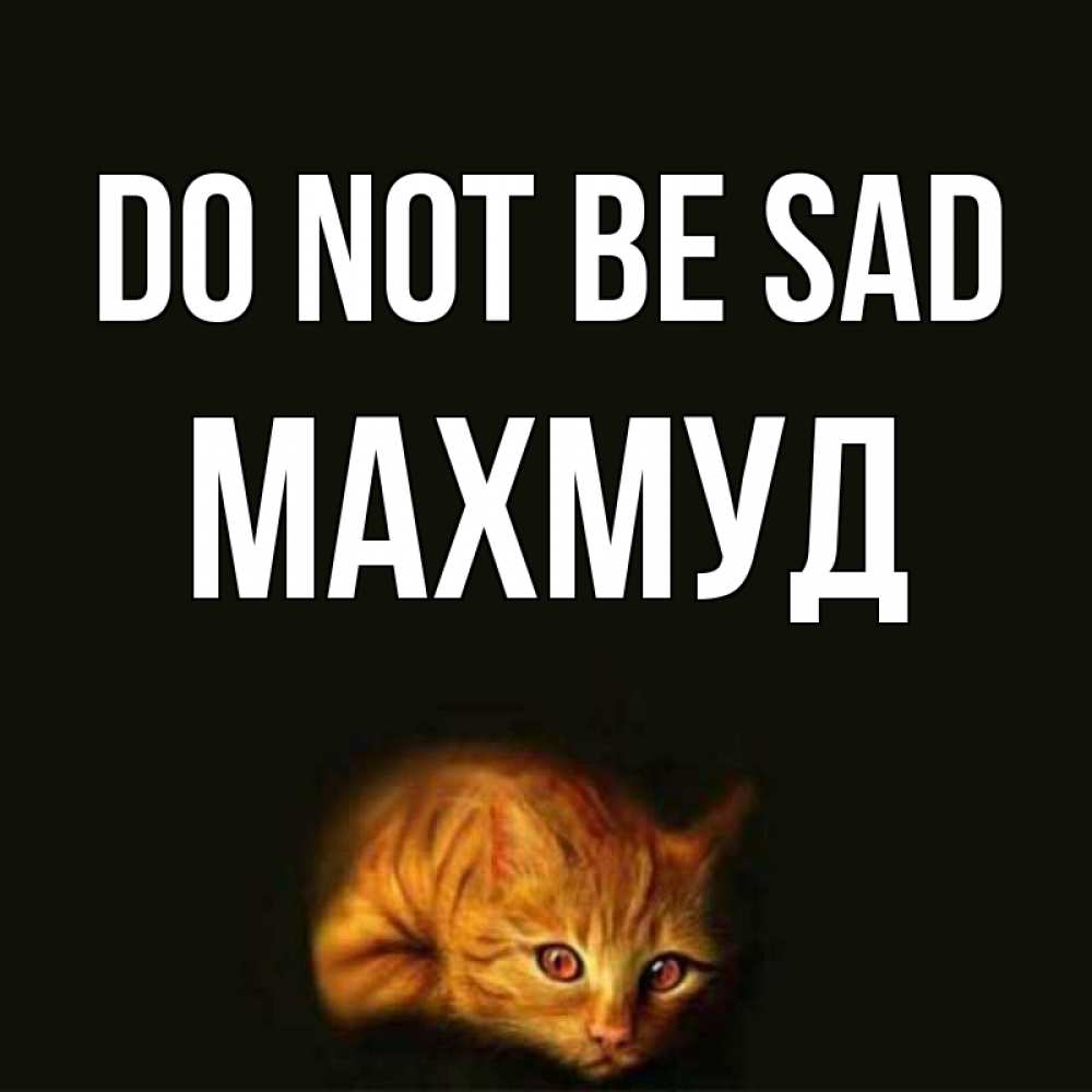 Greetings card с именем, Махмуд Do not be sad лежащий кот в темноте Greetings with text for free download 