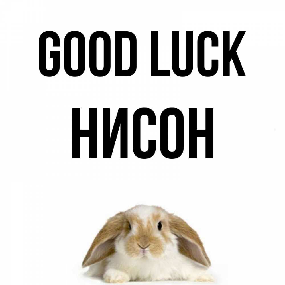 Greetings card с именем, Нисон Good luck открытки с произвольным текстом который можно вставить в открытку и создать ее самостоятельно бесплатно онлайн Greetings with text for free download 