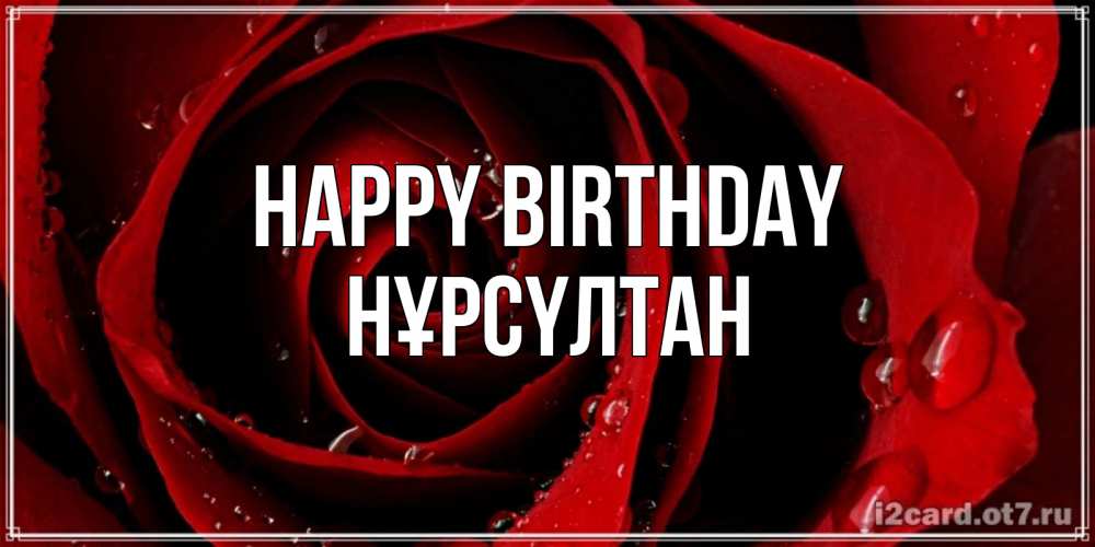 Greetings card с именем, НҰРСҮЛТАН Happy Birthday крупная бордовая роза Greetings with text for free download 