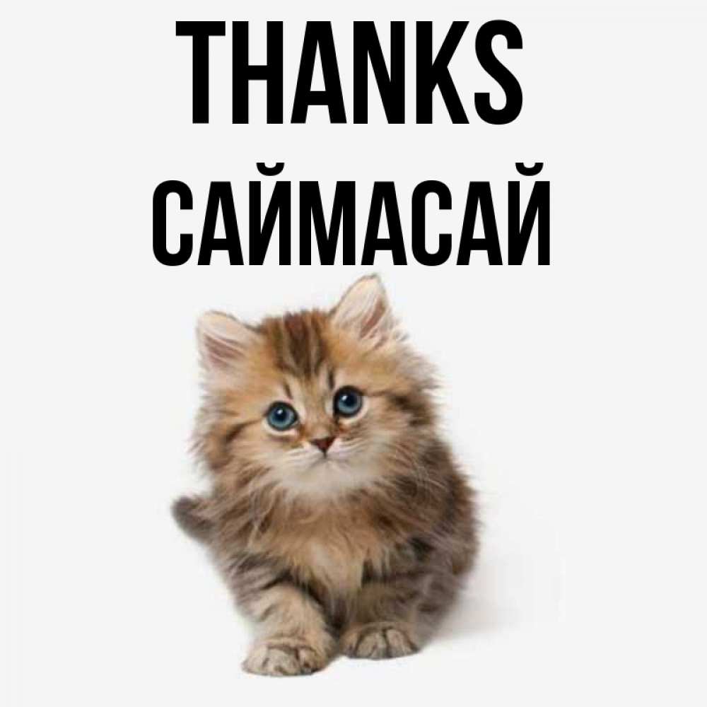 Greetings card с именем, САЙМАСАЙ Thanks пушистый котик Greetings with text for free download 