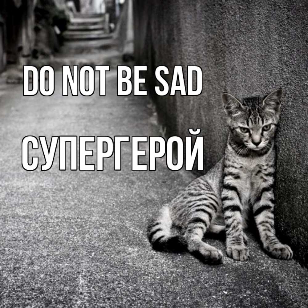 Greetings card с именем, Супергерой Do not be sad скучающий котик Greetings with text for free download 