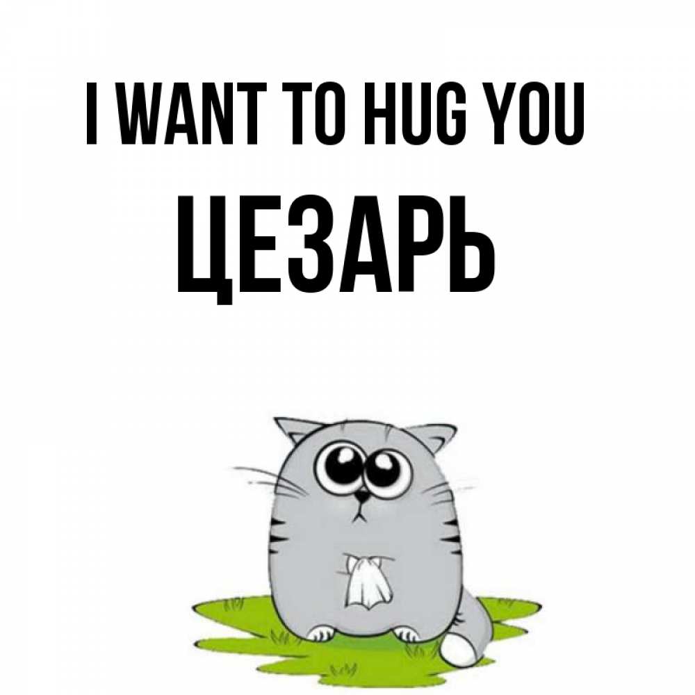 Greetings card с именем, Цезарь I want to hug you котик теребит платочек сидя на травке Greetings with text for free download 