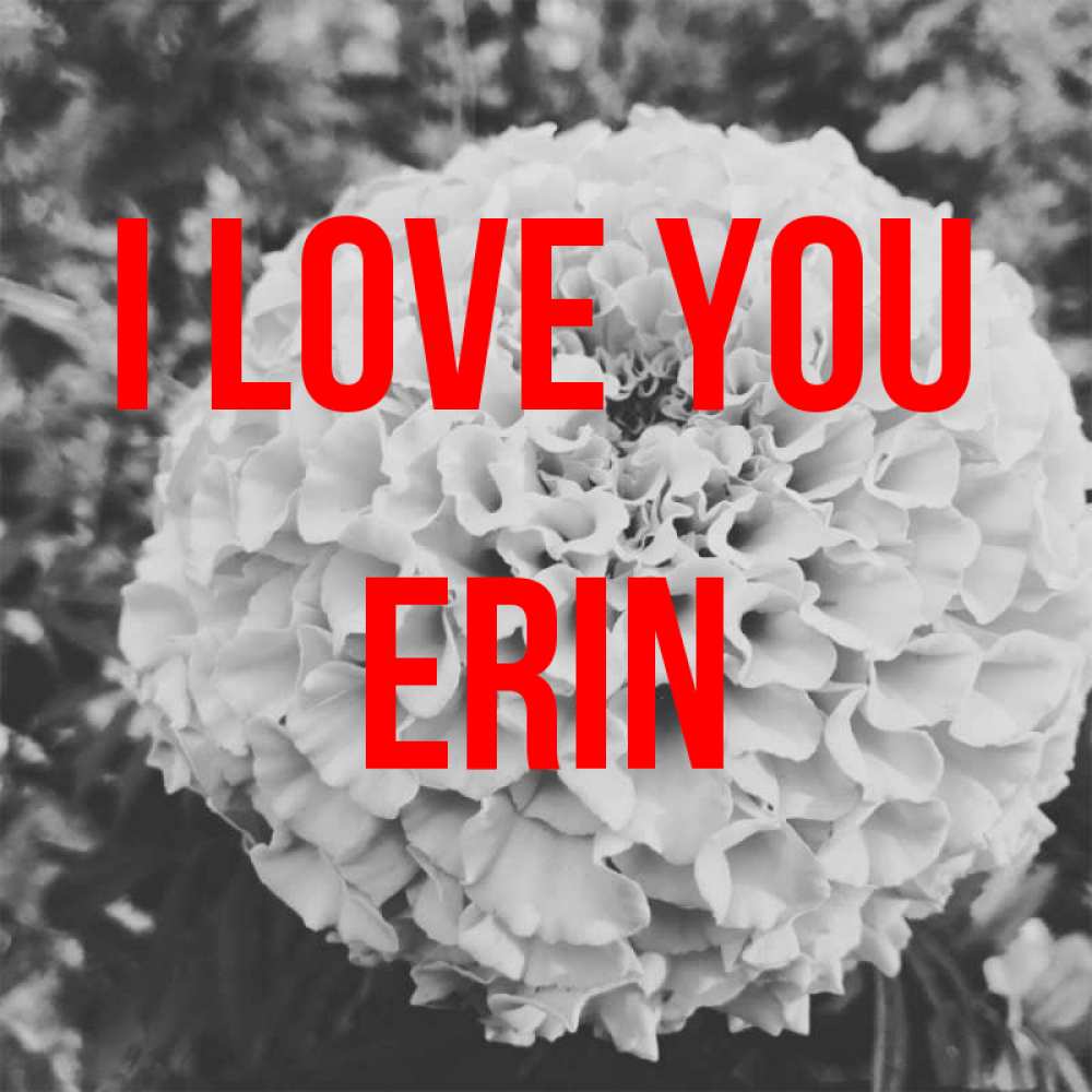Greetings card с именем, Erin I love you подпись Greetings with text for free download 