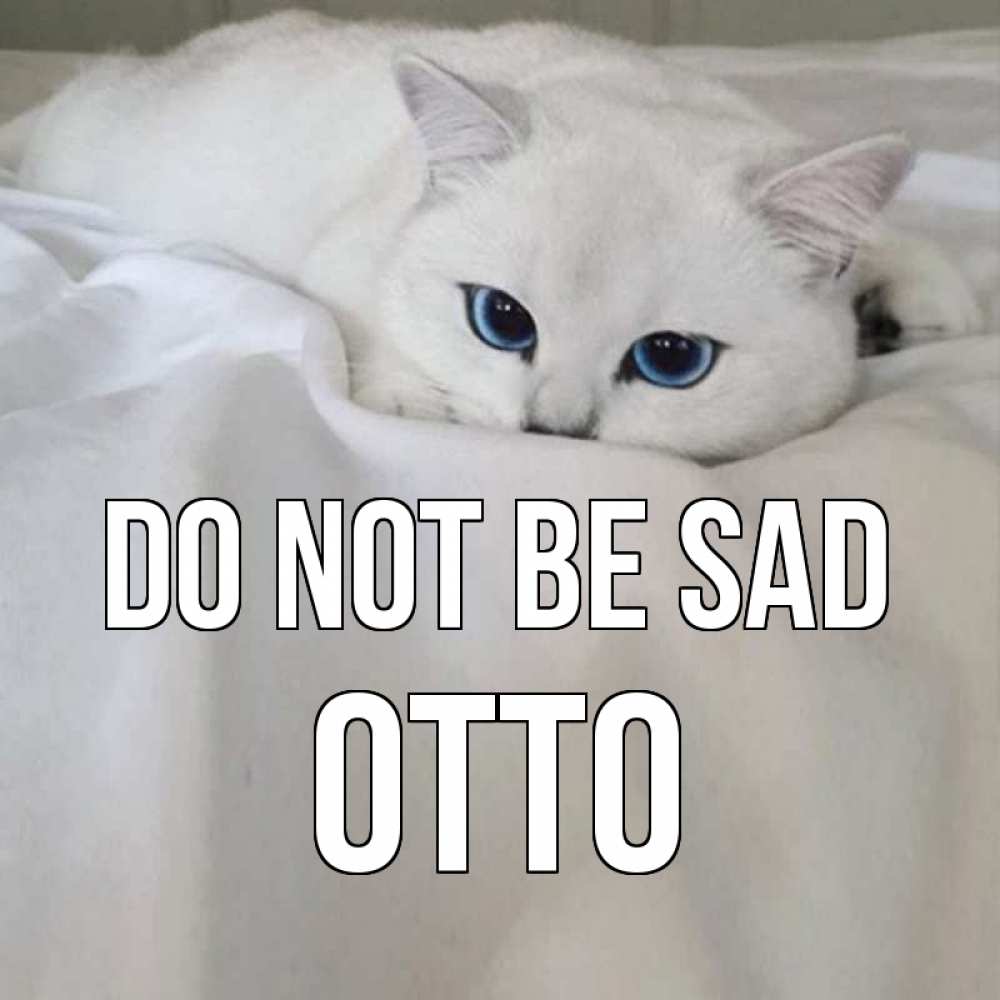 Greetings card с именем, Otto Do not be sad белый кот с голубыми глазами на белоснежной кровати Greetings with text for free download 