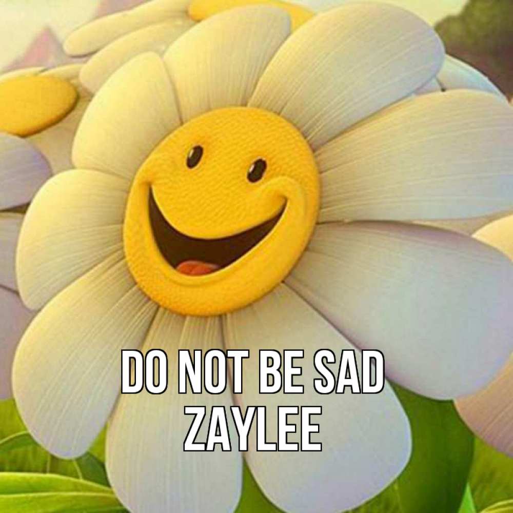 Greetings card с именем, Zaylee Do not be sad огромная улыбающаяся ромашуща Greetings with text for free download 