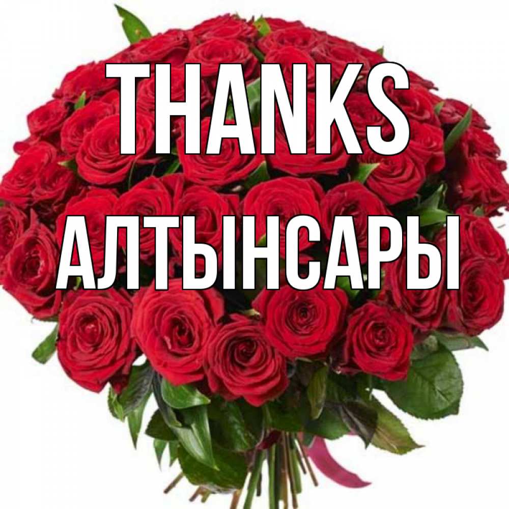 Greetings card с именем, Алтынсары Thanks букет красных роз Greetings with text for free download 