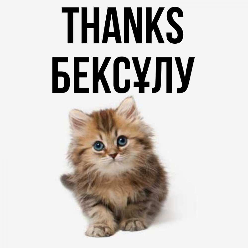 Greetings card с именем, БЕКСҰЛУ Thanks пушистый котик Greetings with text for free download 