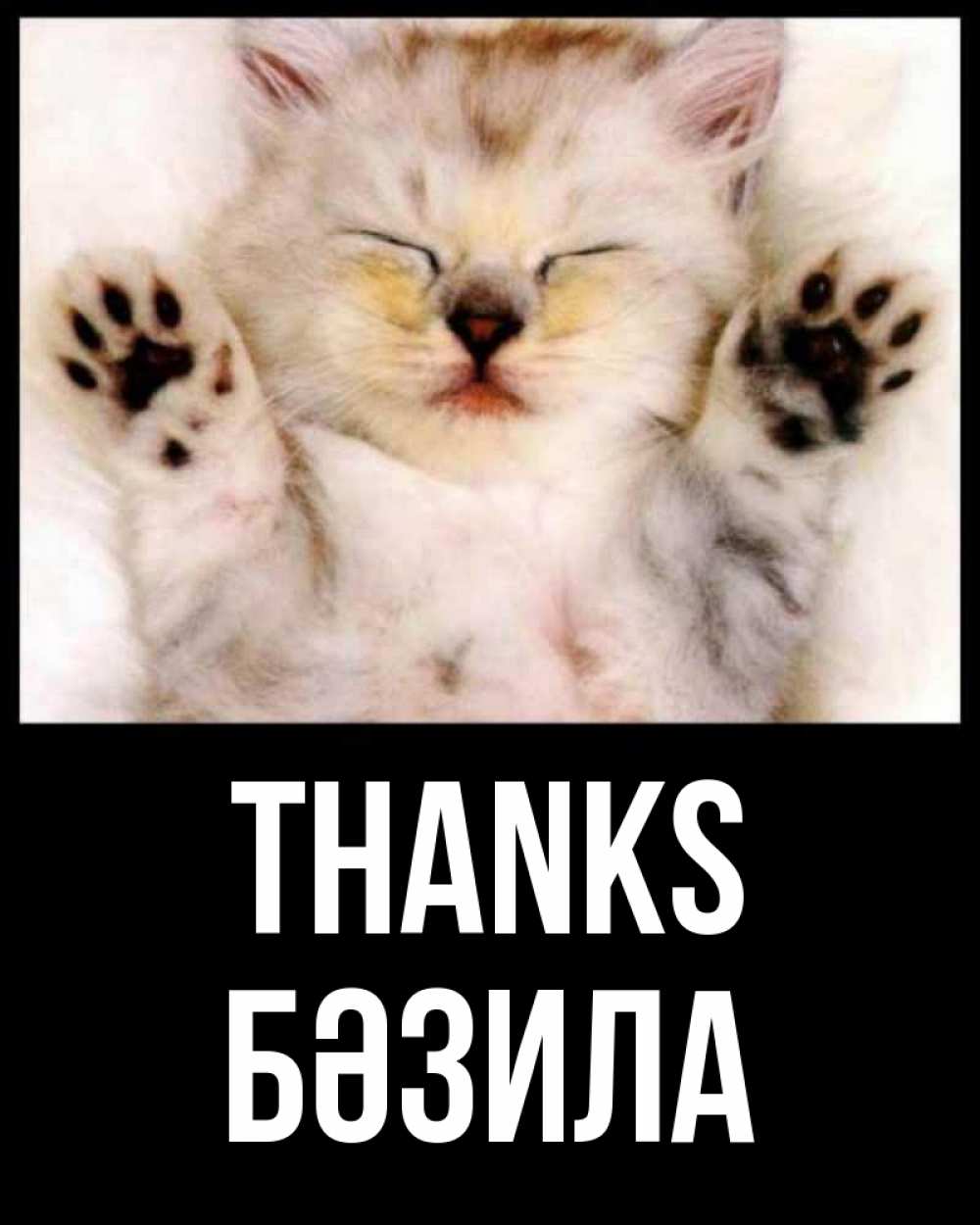 Greetings card с именем, БӘЗИЛА Thanks маленький котенок Greetings with text for free download 