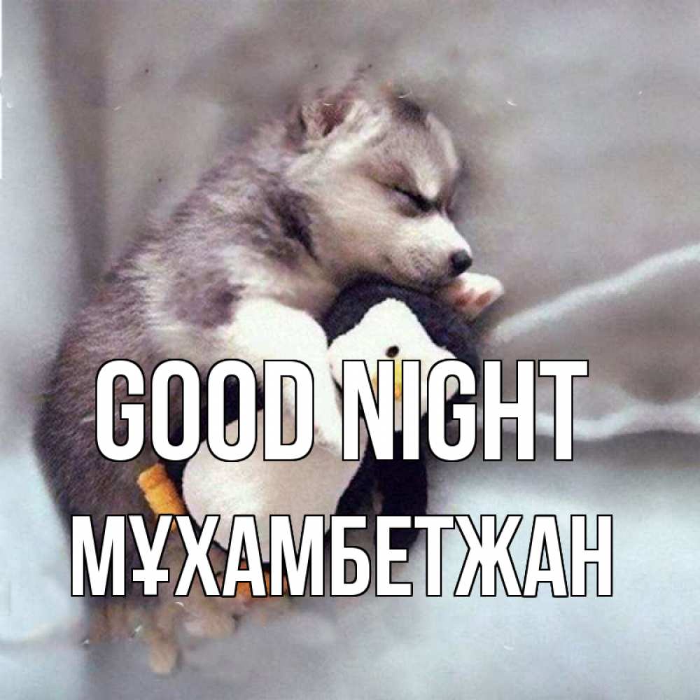 Greetings card с именем, МҰХАМБЕТЖАН Good night обнимашки щенка и пингвина Greetings with text for free download 