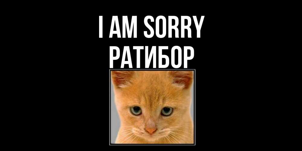 Greetings card с именем, Ратибор I am sorry рыжий грустный кот просит прощения Greetings with text for free download 