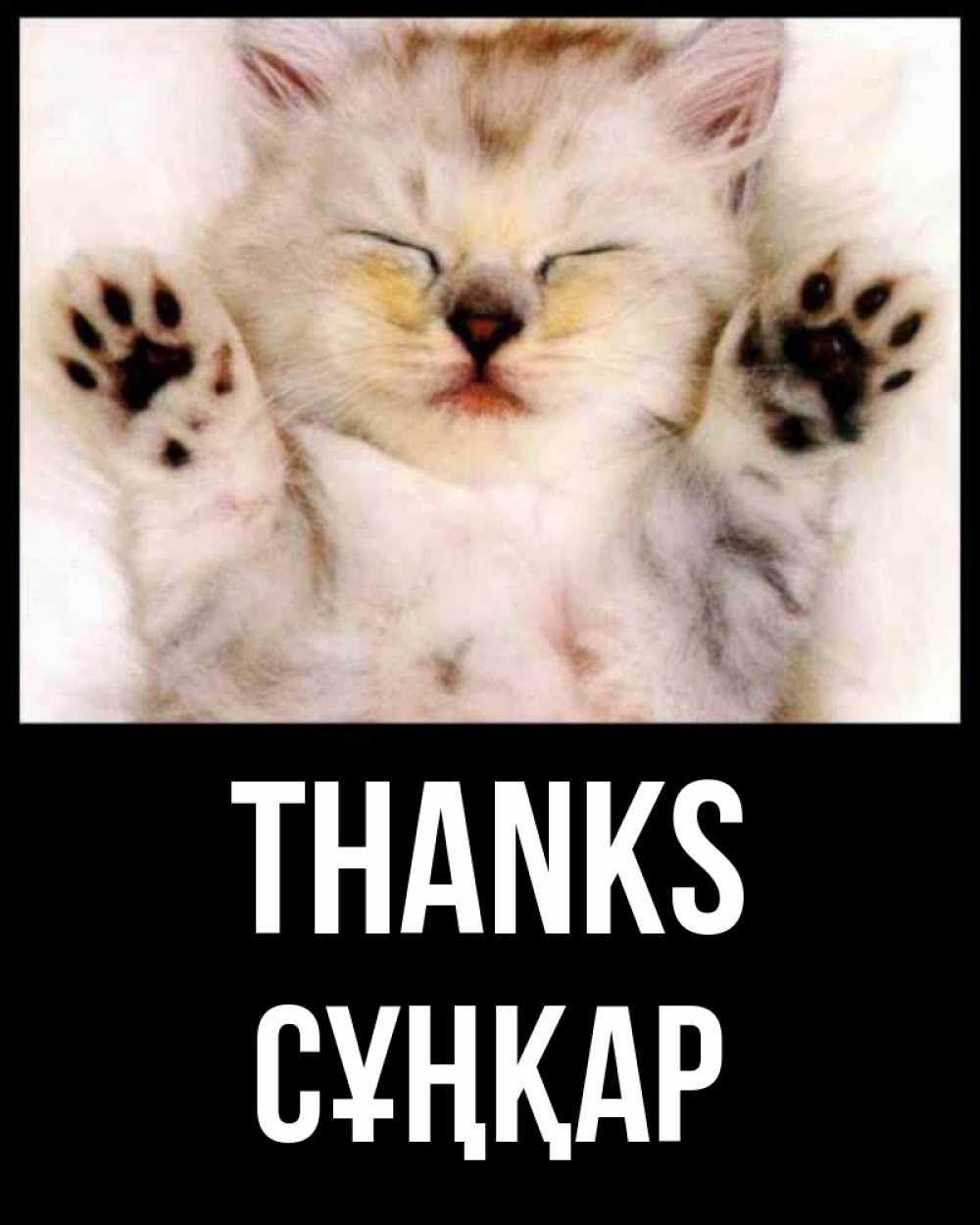 Greetings card с именем, СҰҢҚАР Thanks маленький котенок Greetings with text for free download 