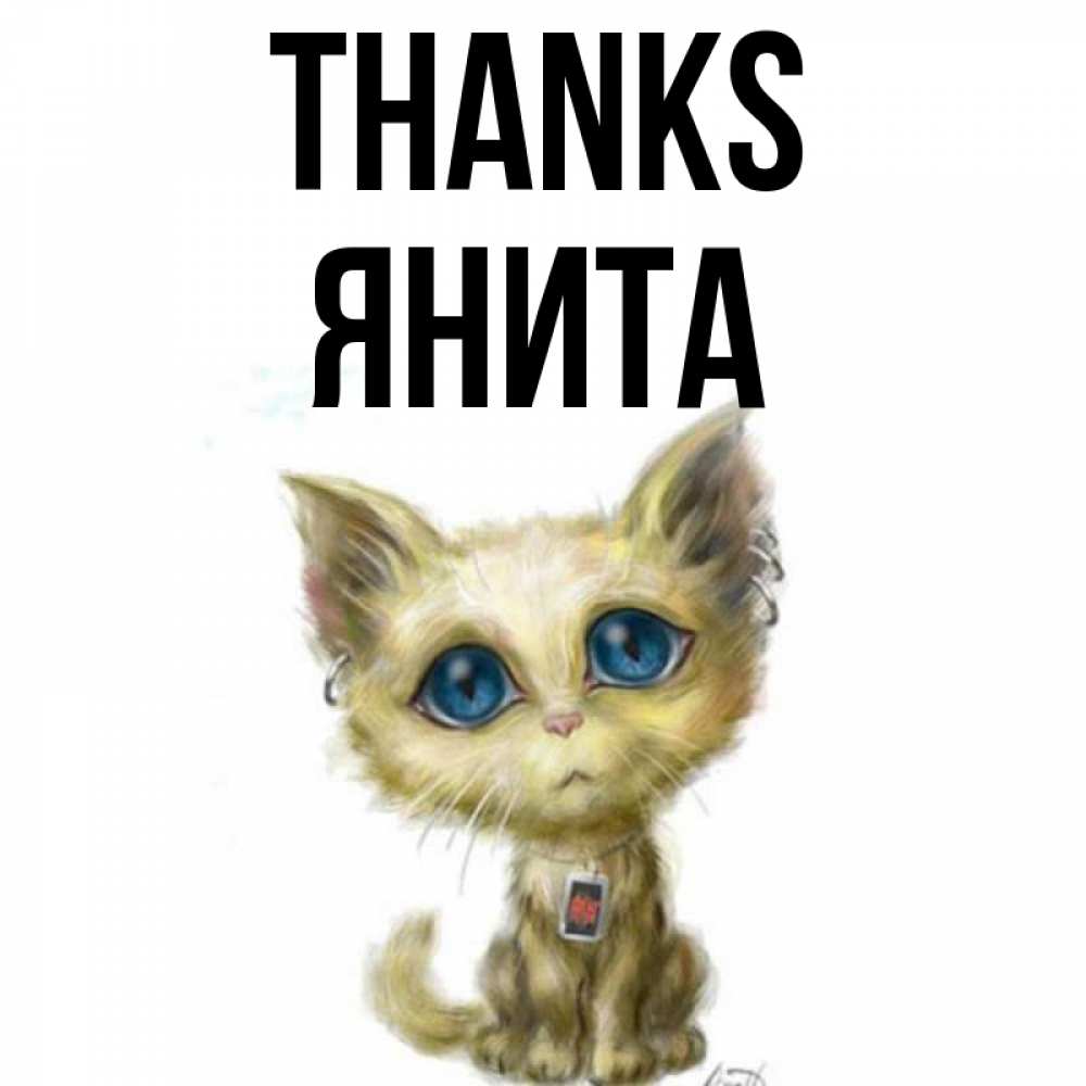 Greetings card с именем, Янита Thanks рисованный кот благодарит вас Greetings with text for free download 