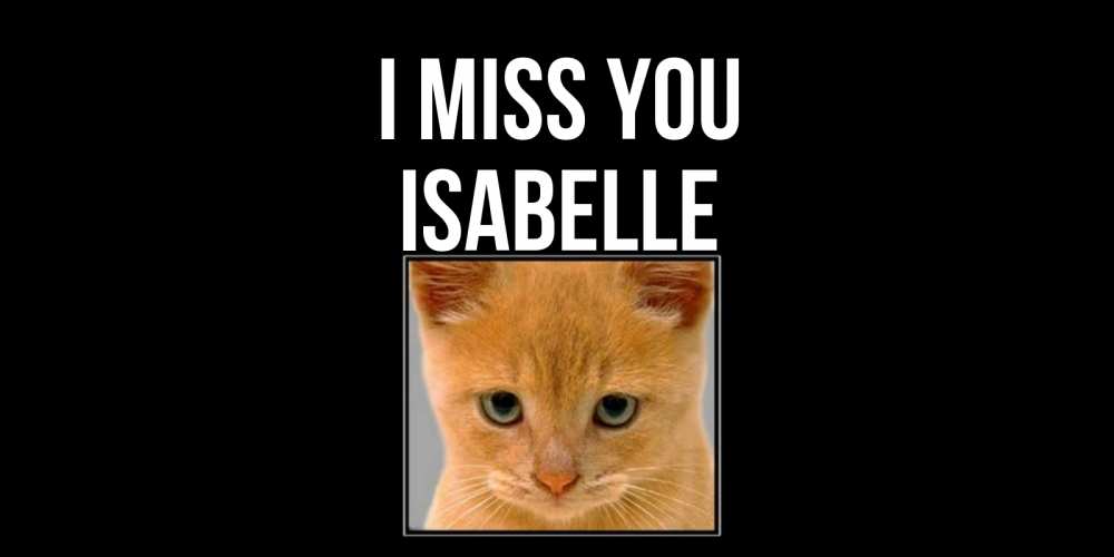 Greetings card с именем, Isabelle I miss you открытки рыжий котенок скучает по тебе Greetings with text for free download 