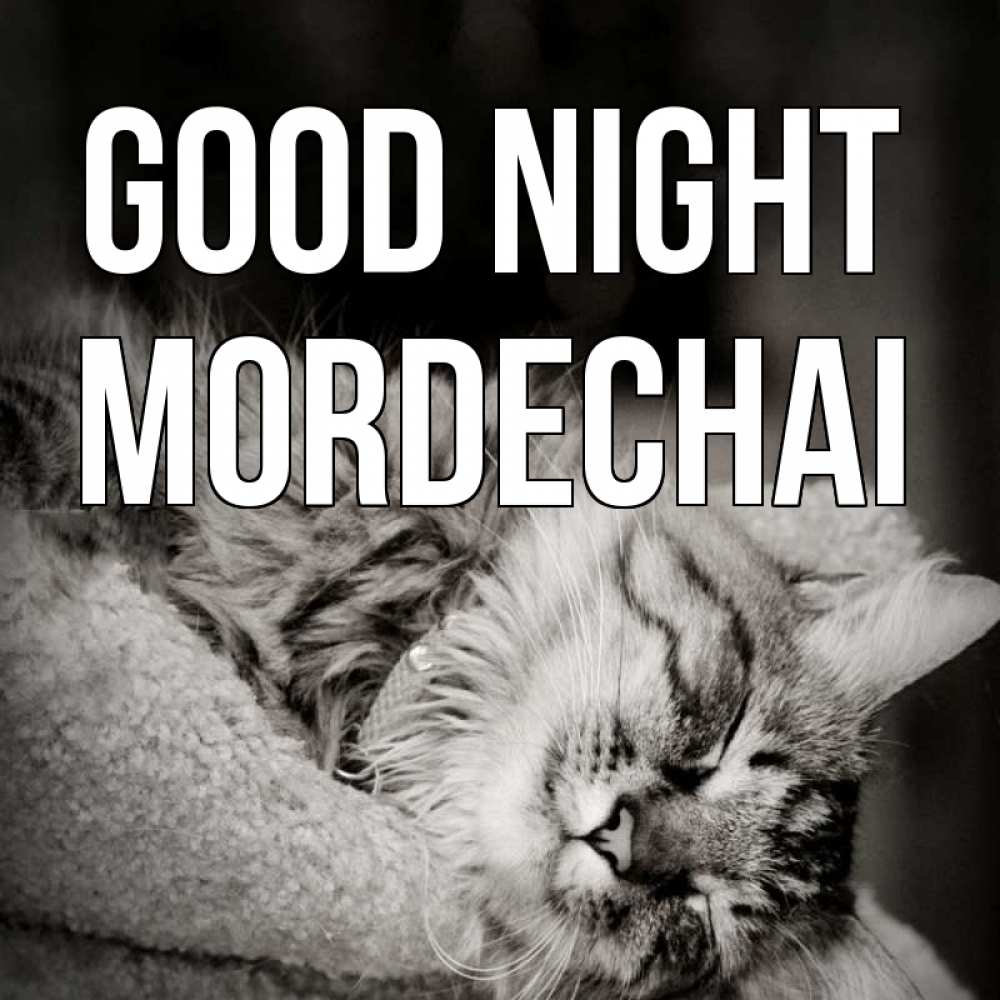 Greetings card с именем, Mordechai Good night котярик пушистый Greetings with text for free download 