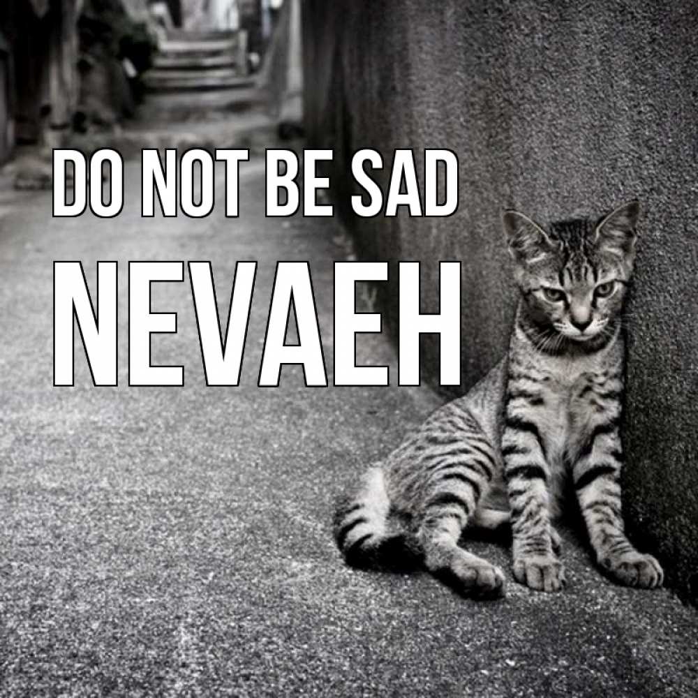 Greetings card с именем, Nevaeh Do not be sad скучающий котик Greetings with text for free download 