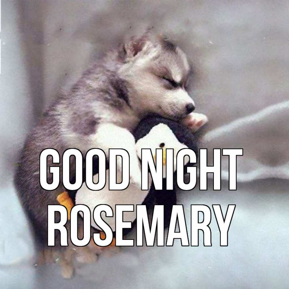 Greetings card с именем, Rosemary Good night обнимашки щенка и пингвина Greetings with text for free download 