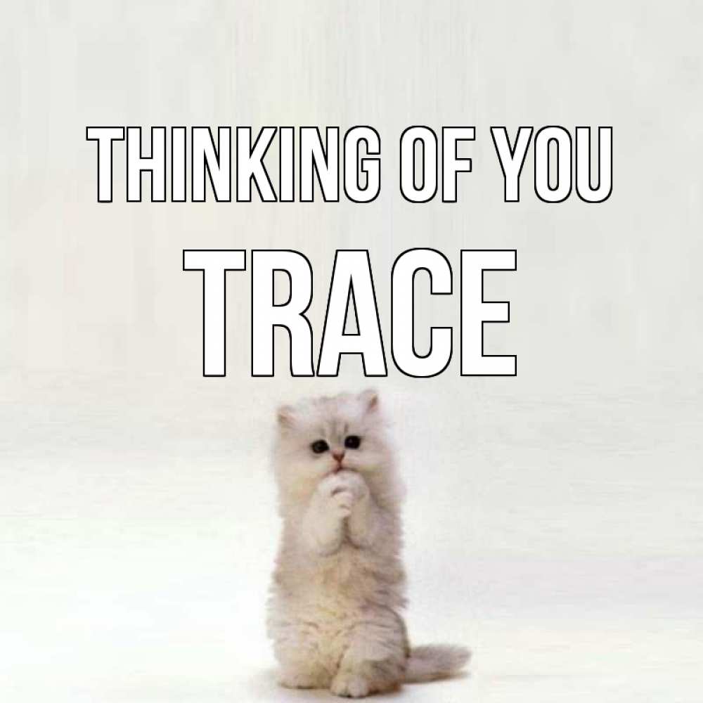 Greetings card с именем, Trace Thinking of you кот стоит на задних лапах Greetings with text for free download 