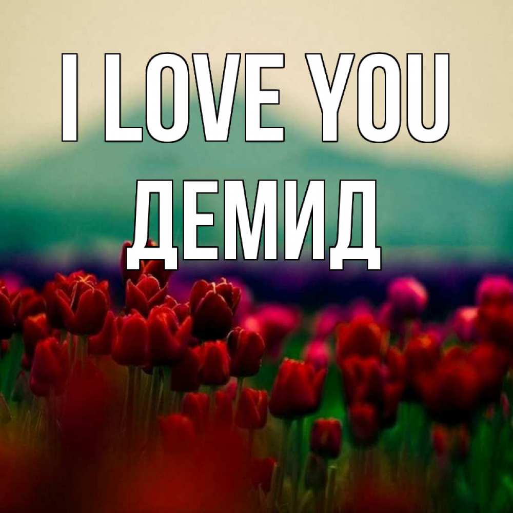 Greetings card с именем, Демид I love you тюльпаны 4 Greetings with text for free download 