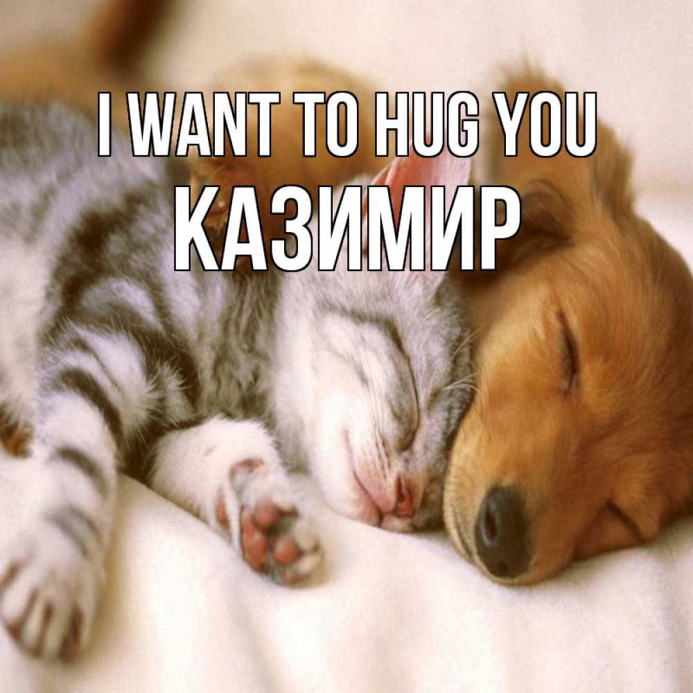 Greetings card с именем, Казимир I want to hug you пес и котенок Greetings with text for free download 