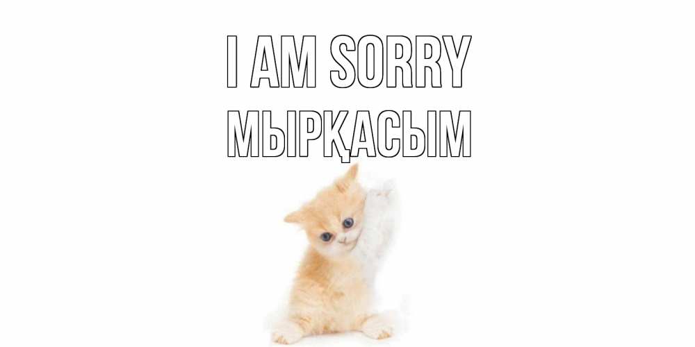 Greetings card с именем, МЫРҚАСЫМ I am sorry кот Greetings with text for free download 