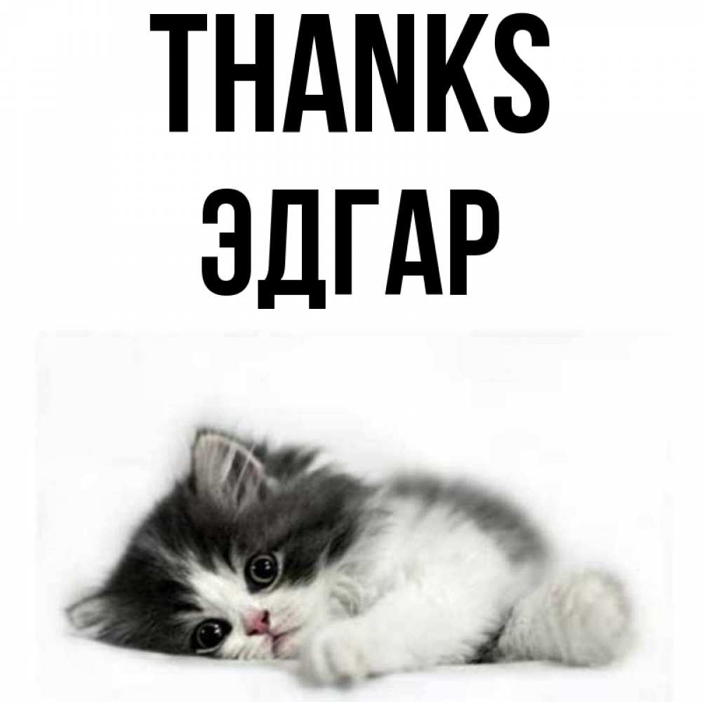Greetings card с именем, Эдгар Thanks черный и белый кот Greetings with text for free download 