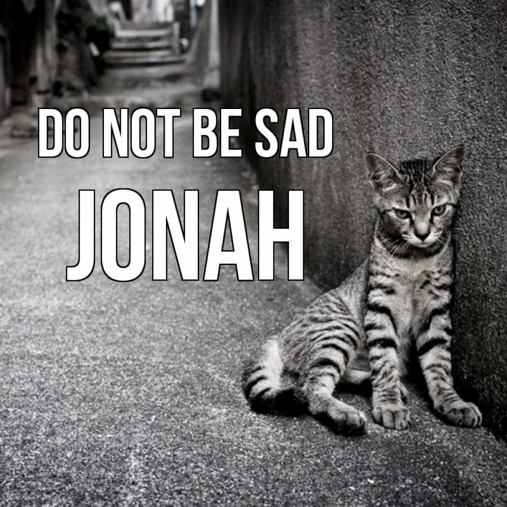 Greetings card с именем, Jonah Do not be sad скучающий котик Greetings with text for free download 