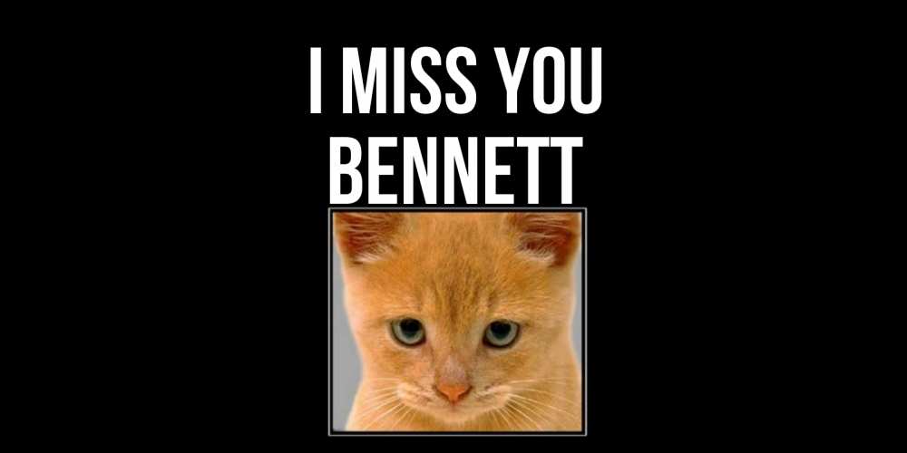 Greetings card с именем, Bennett I miss you открытки рыжий котенок скучает по тебе Greetings with text for free download 