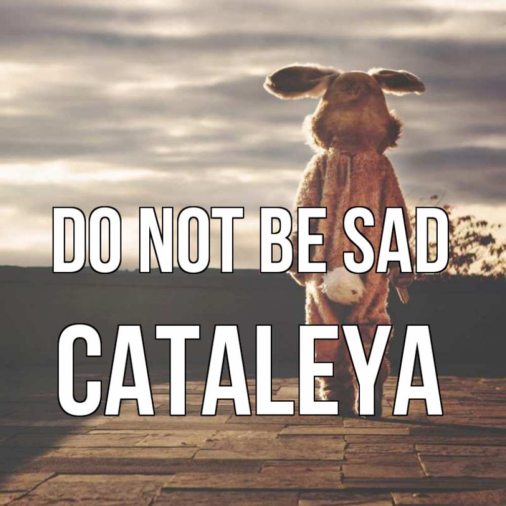 Greetings card с именем, Cataleya Do not be sad со спины Greetings with text for free download 