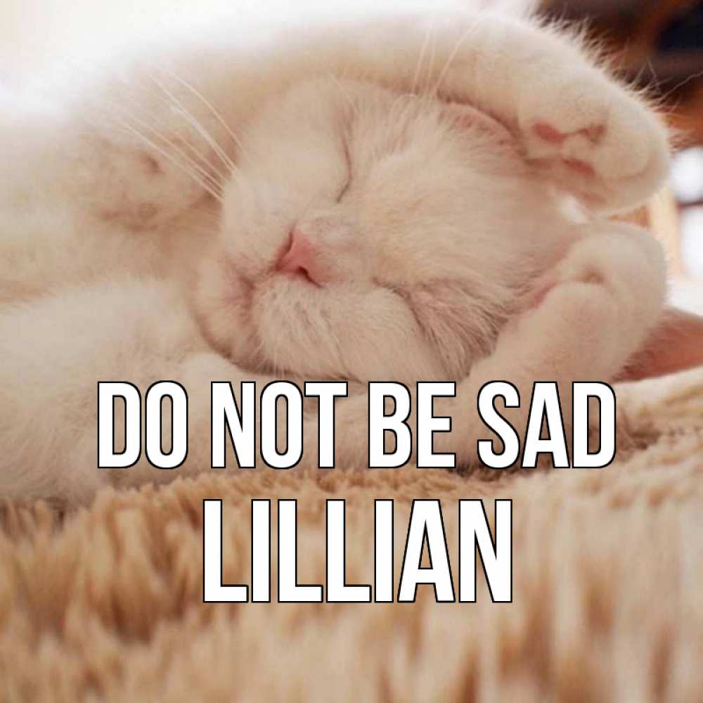 Greetings card с именем, Lillian Do not be sad белый кот Greetings with text for free download 