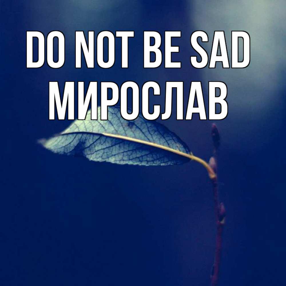 Greetings card с именем, Мирослав Do not be sad растение Greetings with text for free download 