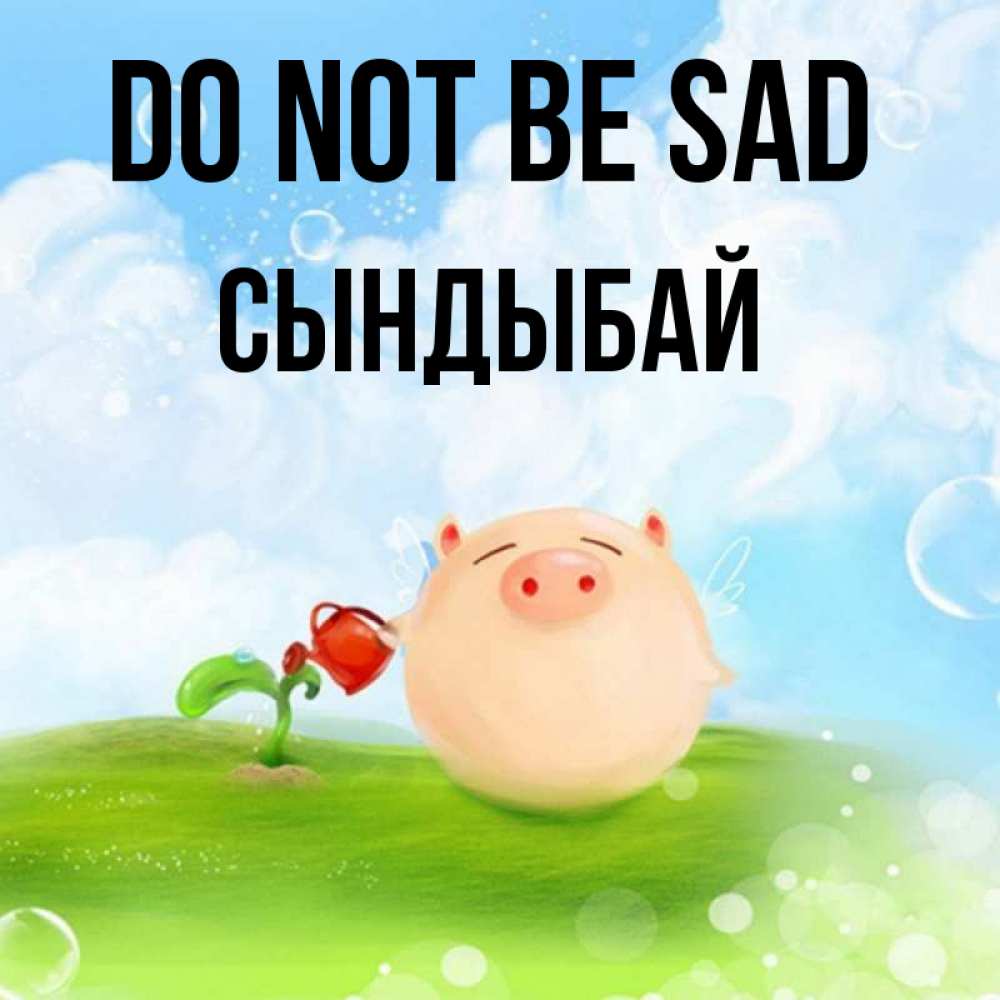 Greetings card с именем, СЫНДЫБАЙ Do not be sad поливает цветок порося Greetings with text for free download 