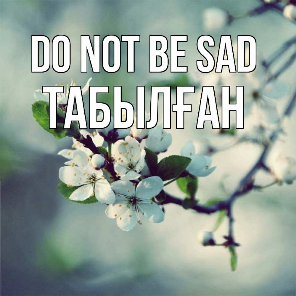 Greetings card с именем, ТАБЫЛҒАН Do not be sad яблоня в цвету 1 Greetings with text for free download 