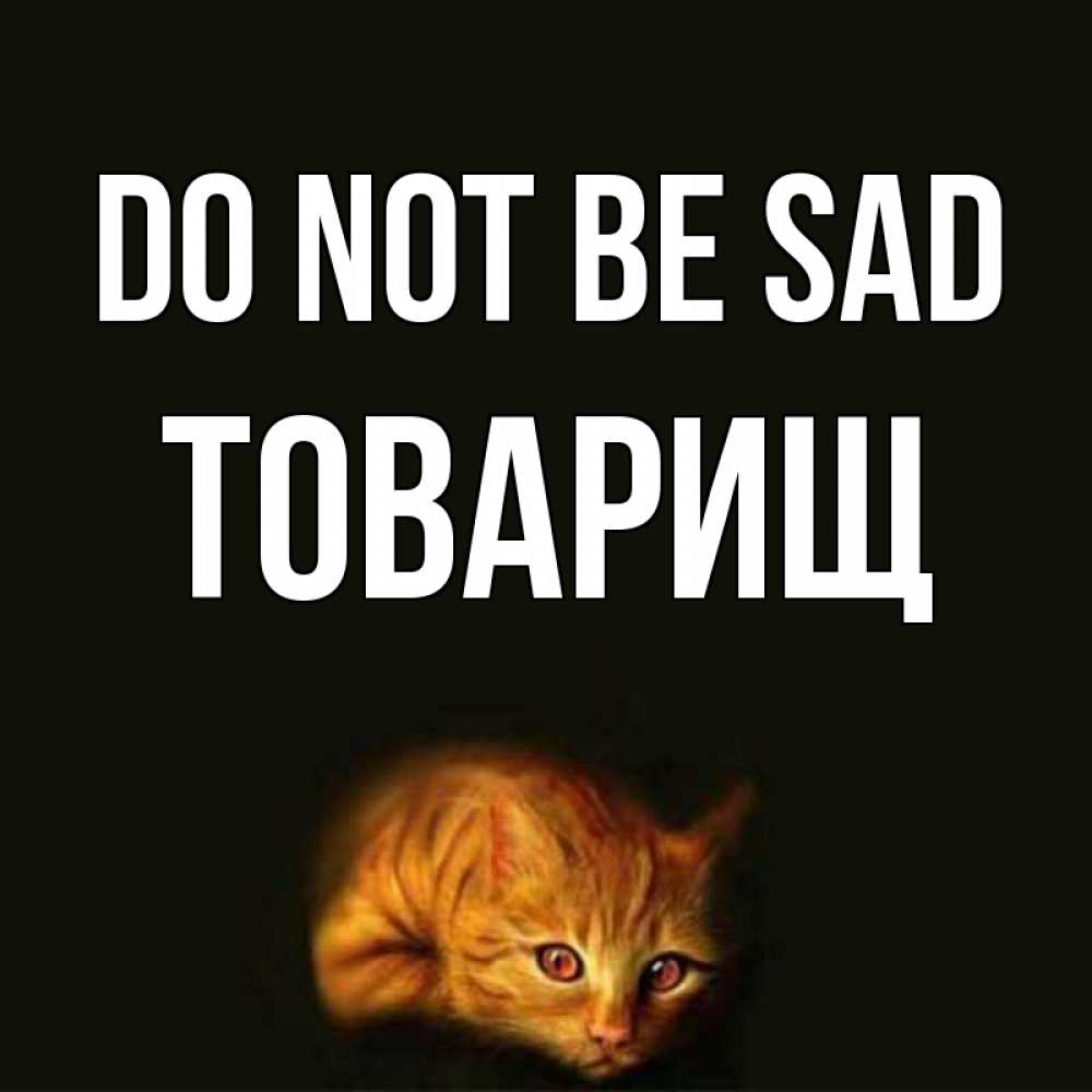 Greetings card с именем, Товарищ Do not be sad лежащий кот в темноте Greetings with text for free download 