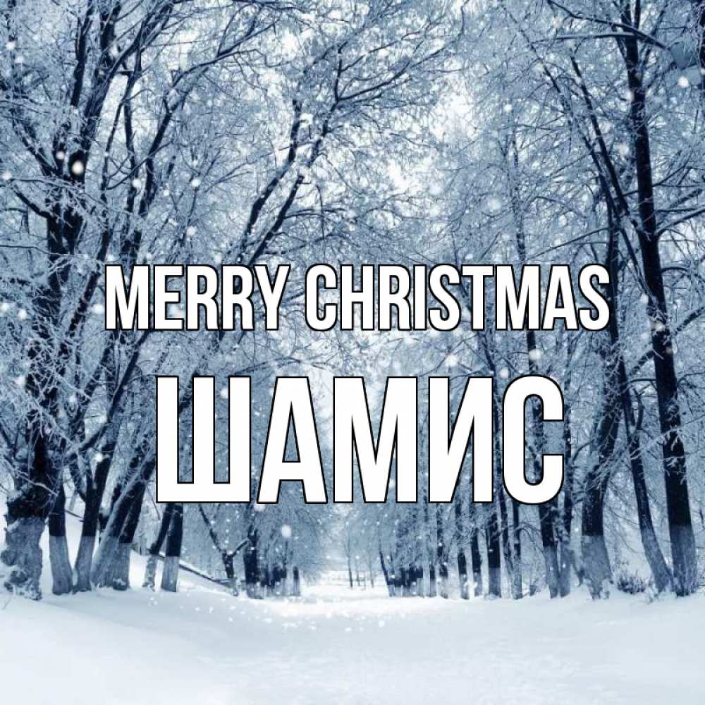 Greetings card с именем, ШАМИС Merry Christmas снег, лес, парк Greetings with text for free download 