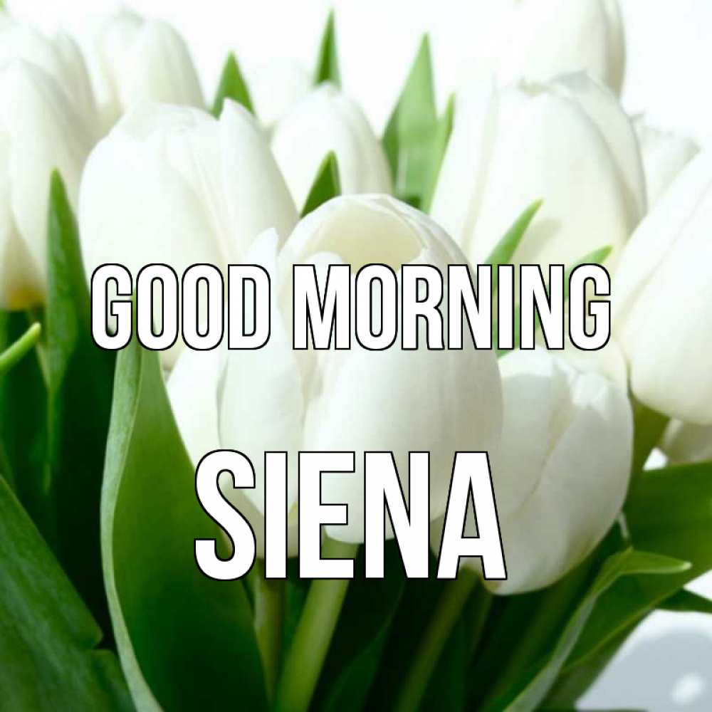 Greetings card с именем, Siena Good morning открытки на каждый день по именам Greetings with text for free download 