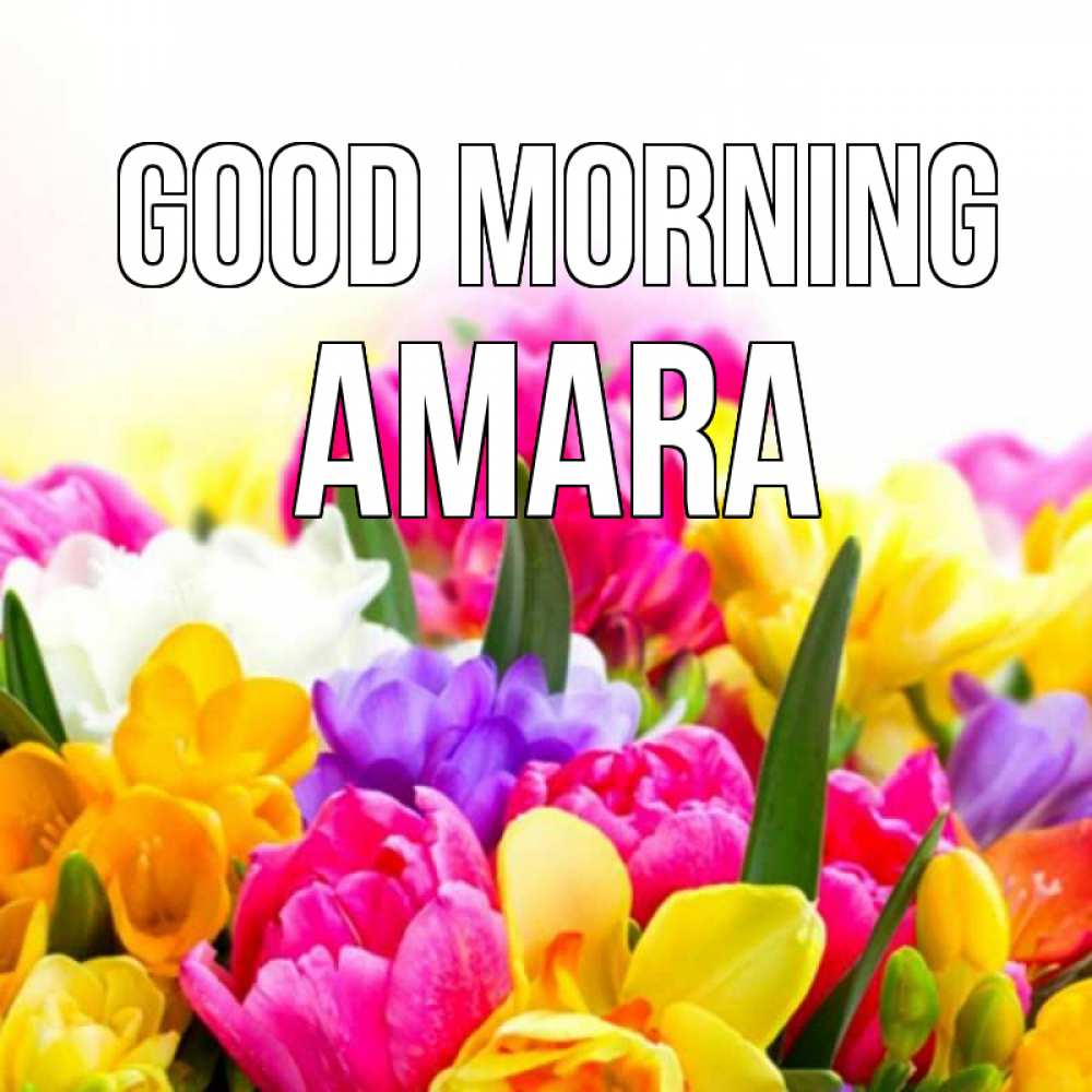 Greetings card с именем, Amara Good morning создать открытку со свое подписью Greetings with text for free download 