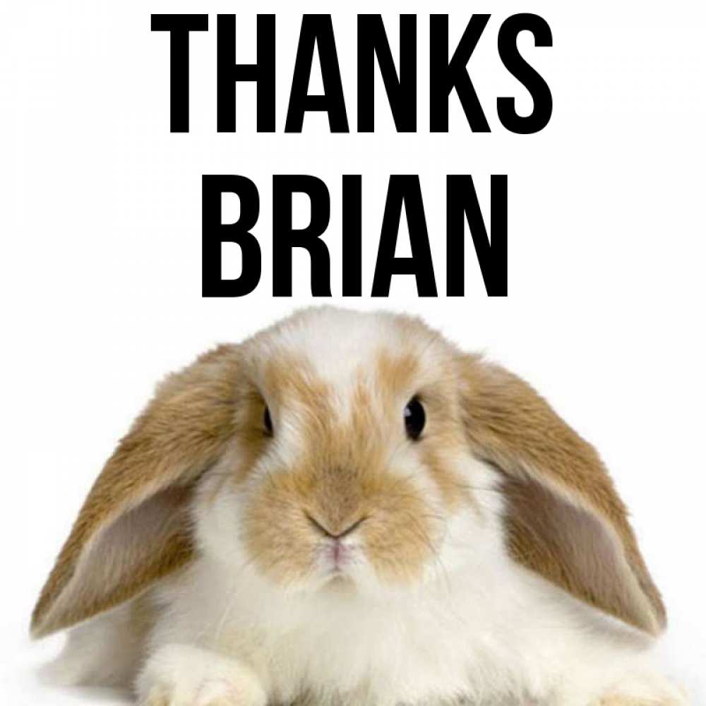 Greetings card с именем, Brian Thanks коричнево белый заяц Greetings with text for free download 