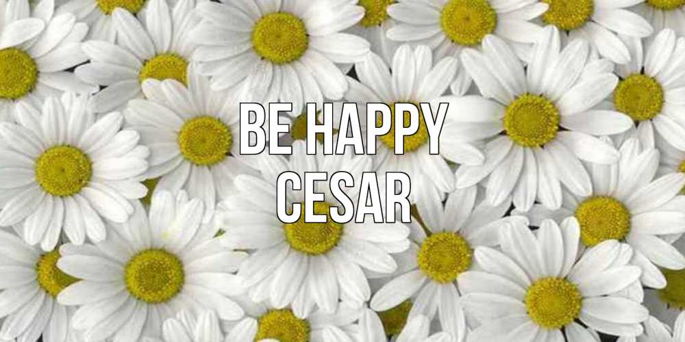 Greetings card с именем, Cesar Be happy поляна ромашек Greetings with text for free download 